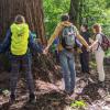 Eine Gruppe aus sieben Menschen in Wanderkleidung steht im Wald. Sie halten sich an den Händen und bilden einen Kreis um einen Baum.