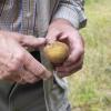 Nachhaltige Landwirtschaft, 