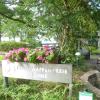 Naturfreundehaus Strümpfelbach Atomwaffenfreie Zone