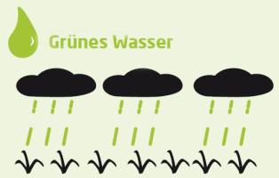 Grünes Wasser = natürlich vorkommendes Boden- und Regenwasser